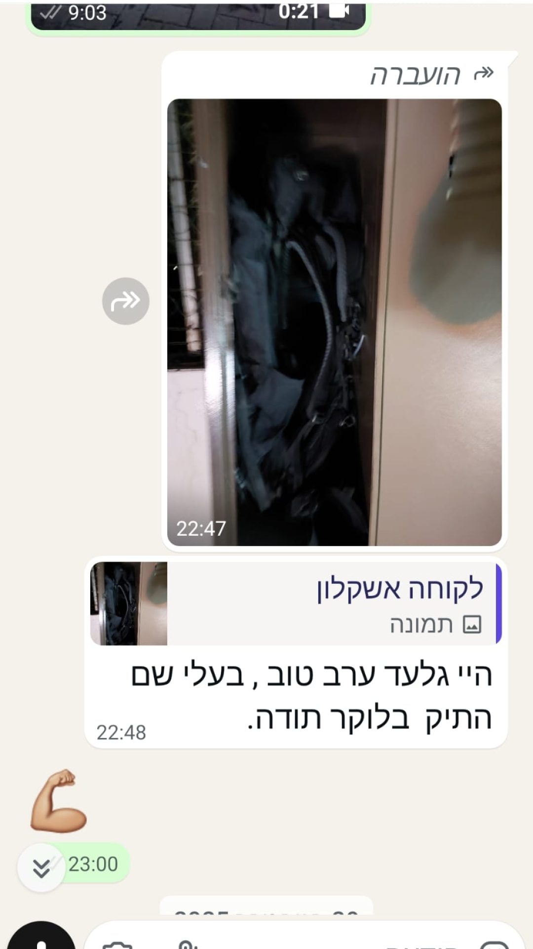 המלצה